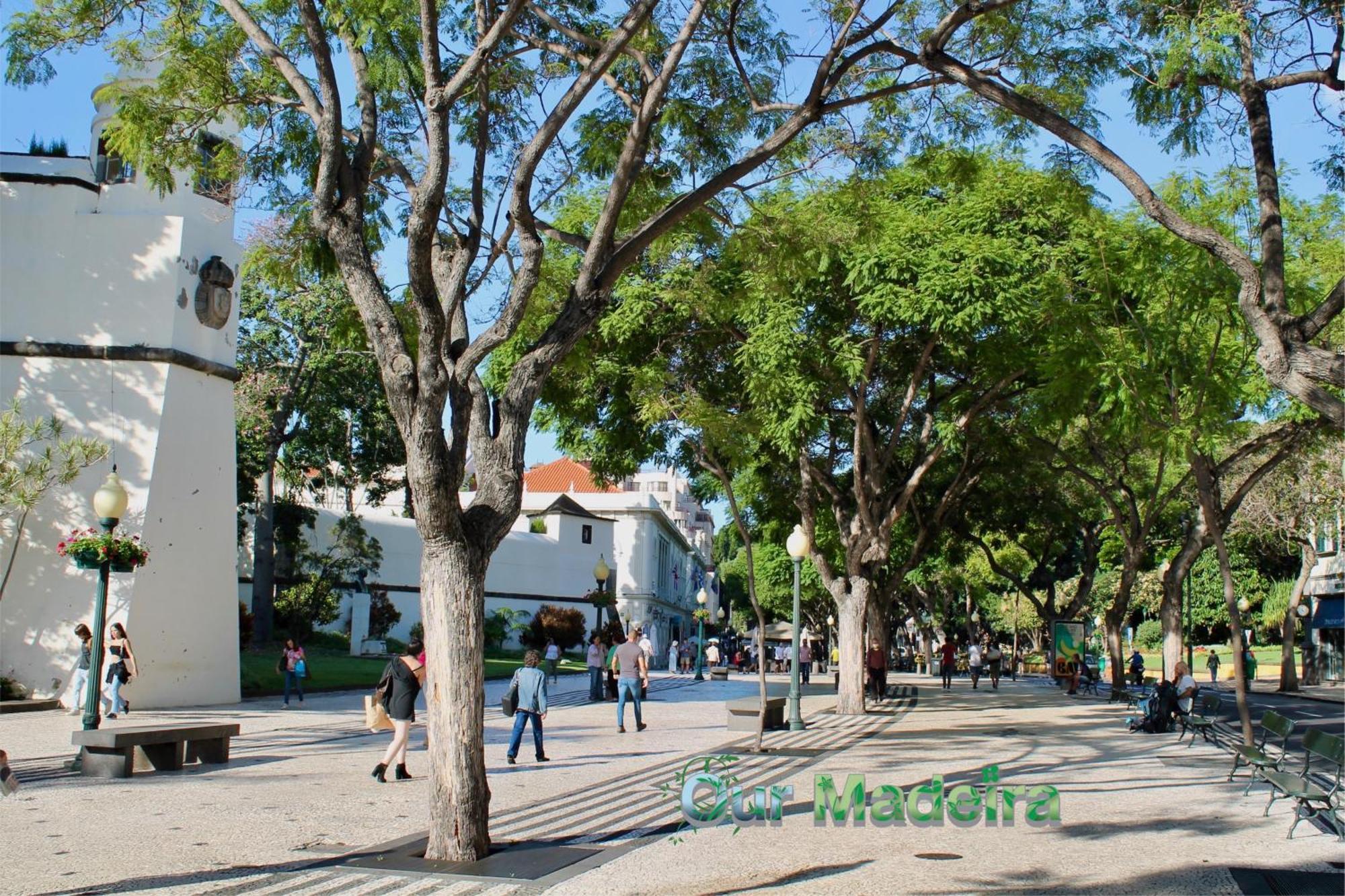 Ferienwohnung Ourmadeira - Heart Of Old Town II Funchal  Exterior foto